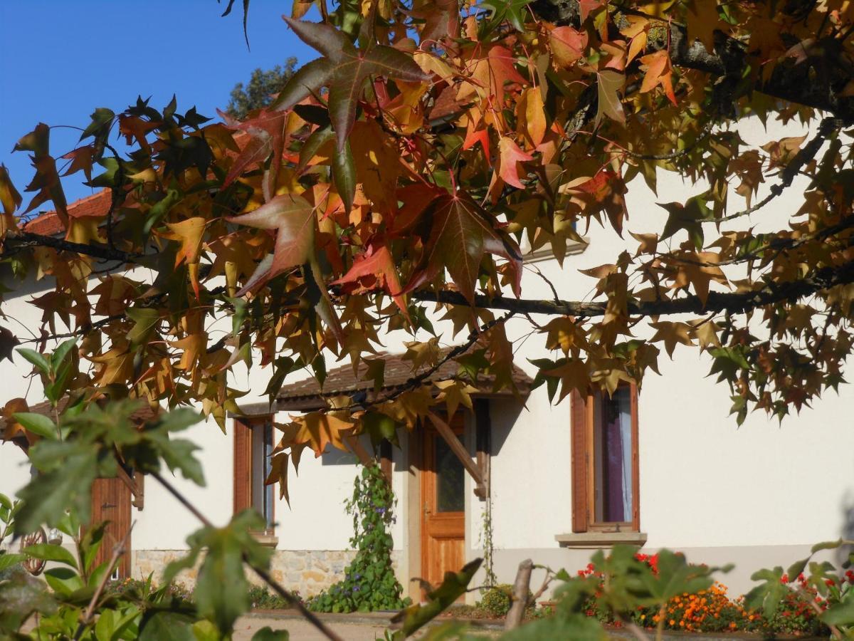 Verveine Patchouli Saint-Martin-le-Chatel Exterior photo